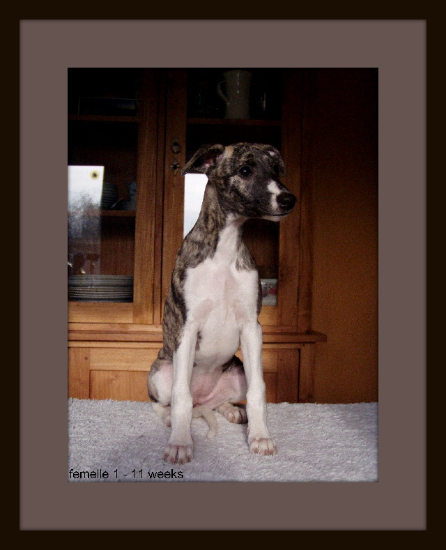 pb300066-kopie.JPG
