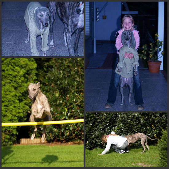 picnik-collage_3.jpg