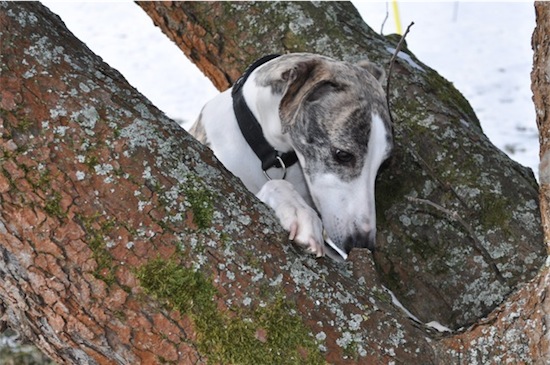 fred_120212_1-small.JPG