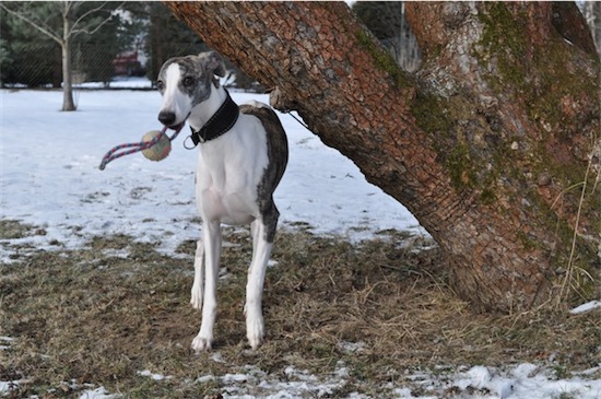 fred_12022012_2-small.JPG