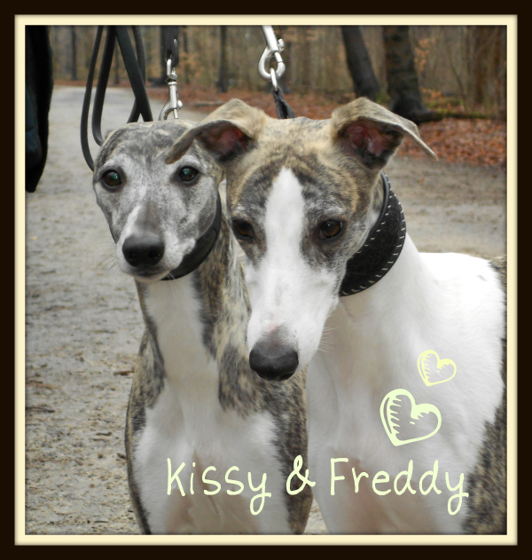 fred_kissy_1_1.jpg
