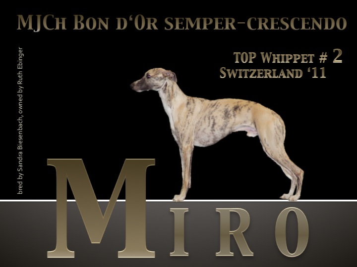 miro_top_2.jpg