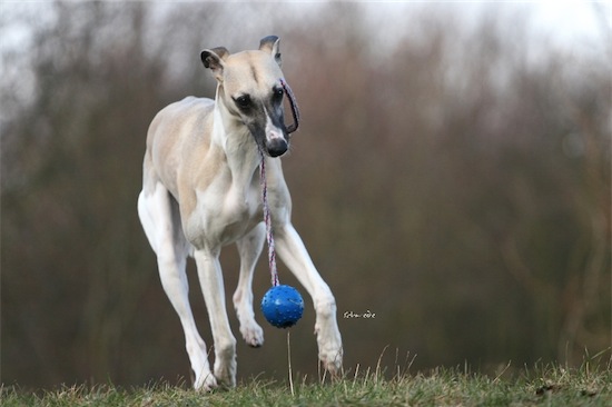 mono_19_02_2012_5-small.jpg
