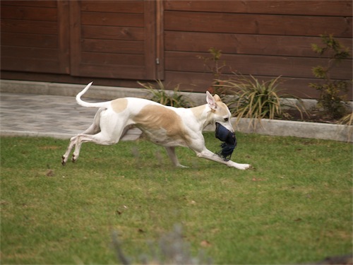 p2270555-small.JPG