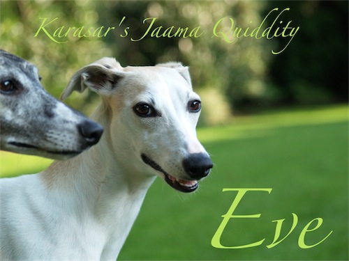 eve_kissy-small.JPG