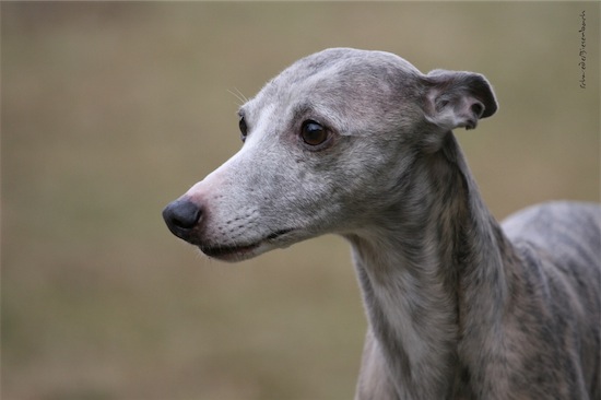 grace_02_03_2012_3-small.jpg
