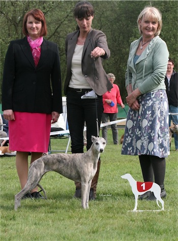 grace_29_04_2012_1-small.jpg