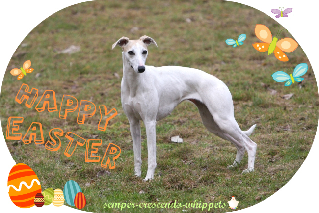 ostern_2.jpg