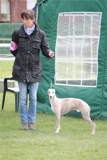 pepper_v4_0704-small.jpg