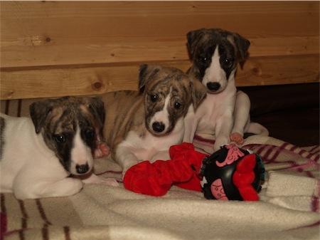 die-jungs_2305-small.JPG