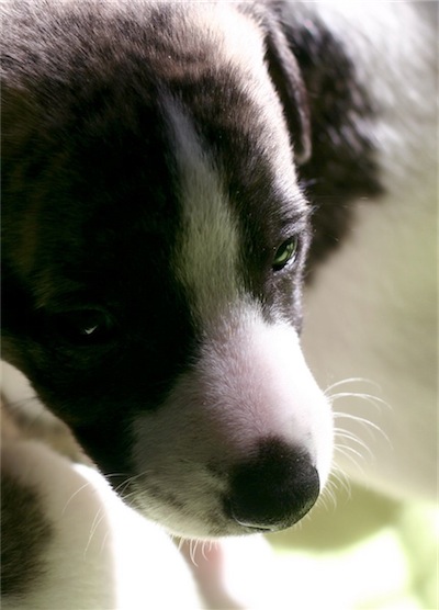 excelencia_17_05_2012_3-small.JPG