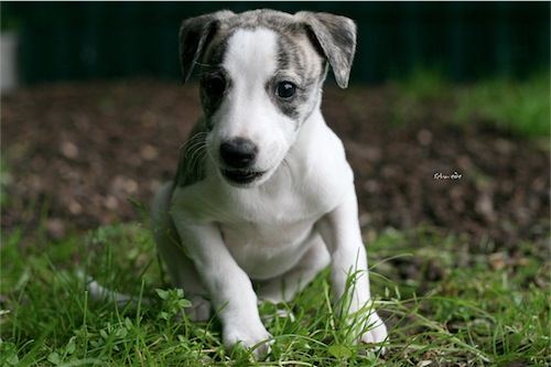 exclusive_30_05_2012_2-small.jpg