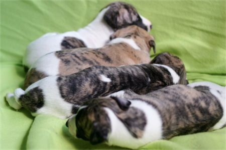 farben-small.JPG