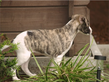 beau_0706_1-small.JPG