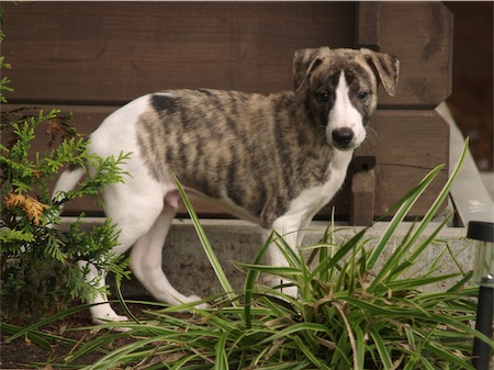 beau_0706_2-small.JPG