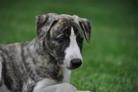 beau_1006_2-small.JPG