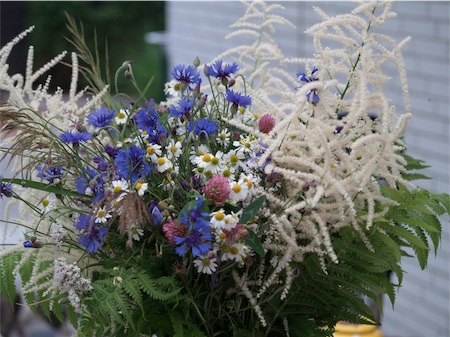 blumen_1-small.JPG
