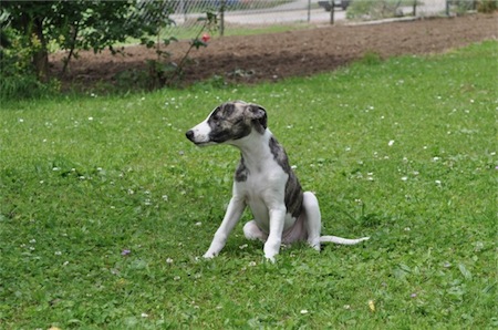 dsc_0116-small.JPG