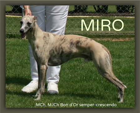 ebinger-miro-small.jpg