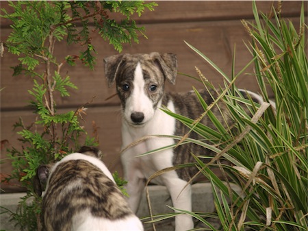 emma_0706_4-small.JPG