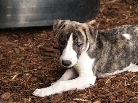 expression_0605_3-small.JPG