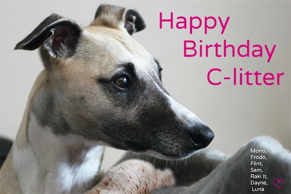 geburtstag_c_2-small.jpg