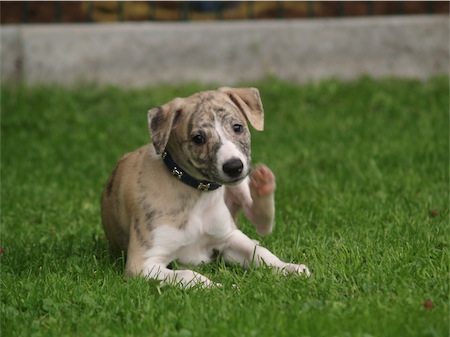 jimmy_0706_1-small.JPG