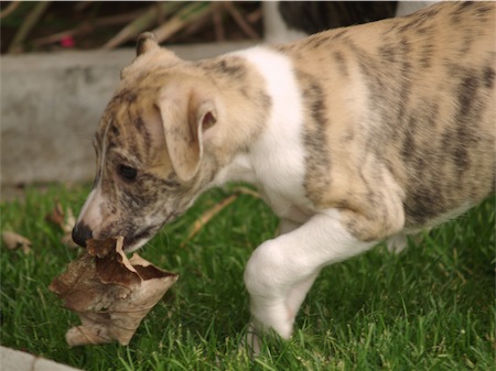 jimmy_0706_4-small.JPG