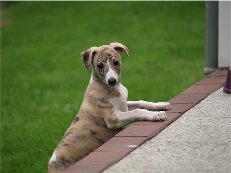 jimmy_1306_2-small.JPG