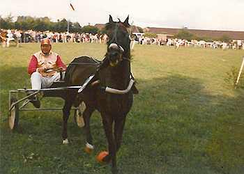 papa-sulki-3.jpg