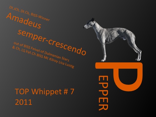 pepper_top_7_klein.jpg