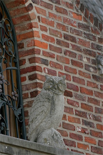 eule_29_07_2012_1-small.jpg
