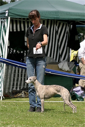 grace_3-small.jpg