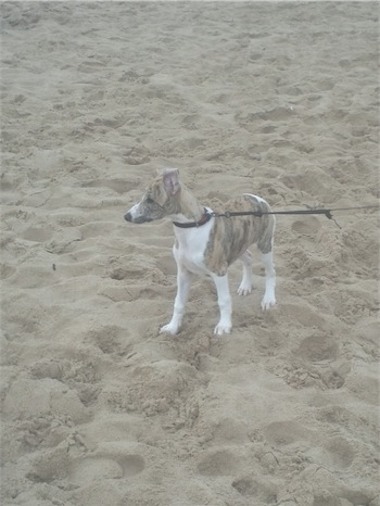 img071-small.jpg