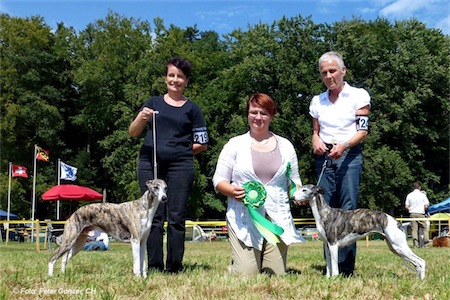 462_cac-lotzwil-swcotrophy12_s-small.jpg