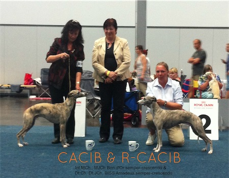 cacib-small.jpg