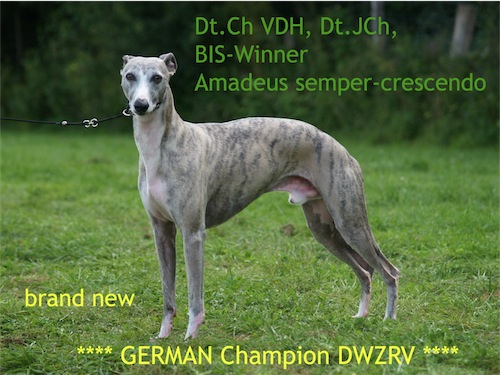 pepper_dwzrv_ch-small.jpg