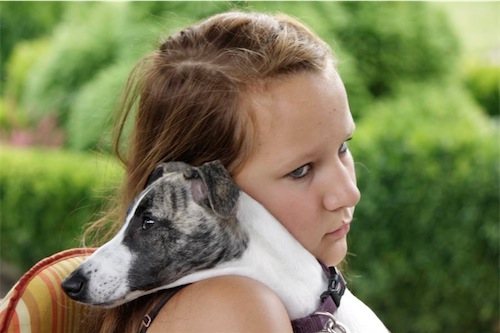 k800_sammy-09-2012-014-small.JPG