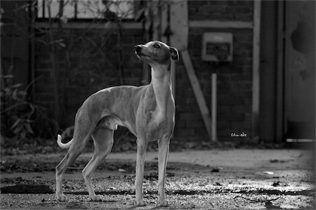 jimmy_30_10_2012_4_sw-small.jpg