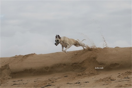mono_10_10_2012_1-small.jpg