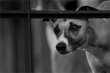 mono_30_10_2012_1-small.jpg
