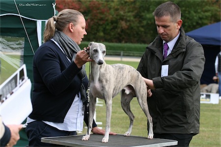 pepper_29_09_2012_1-small.jpg