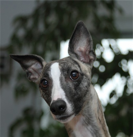 drobner_20121202_012-small.jpg