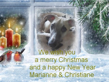 marianne2012-small.jpg