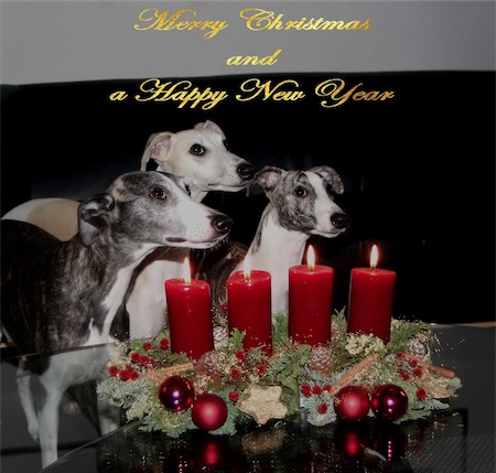 weihnachten-2012-4-fertig-small.jpg