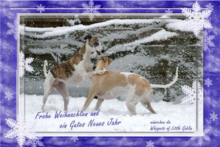 weihnachten-2012-small.jpg