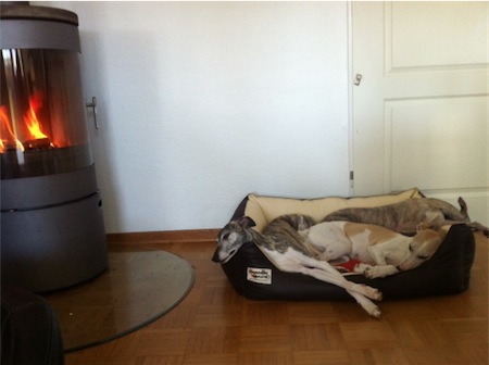 kamin-small.JPG