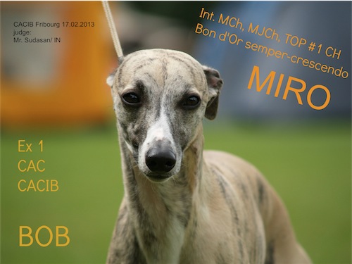 miro_bob_fribourg-small.jpg