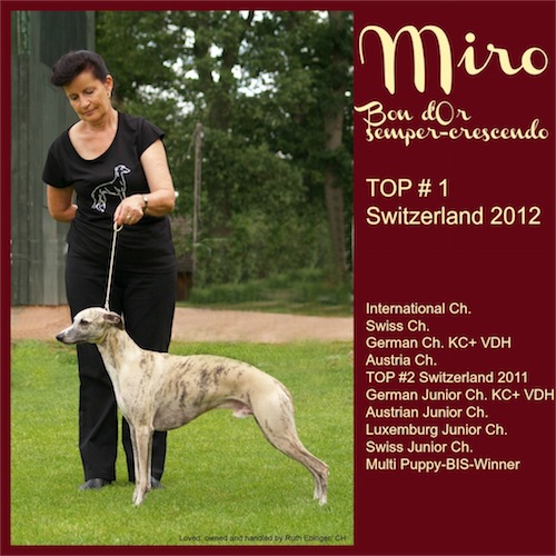 miro_collage_top_2-small.jpg