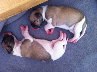 First Class_First Love_3 Tage alt